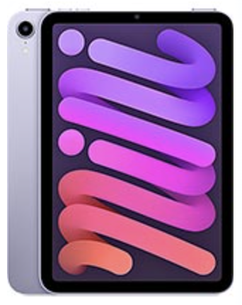 Apple iPad Mini 6th Gen 8.3" (2021) device